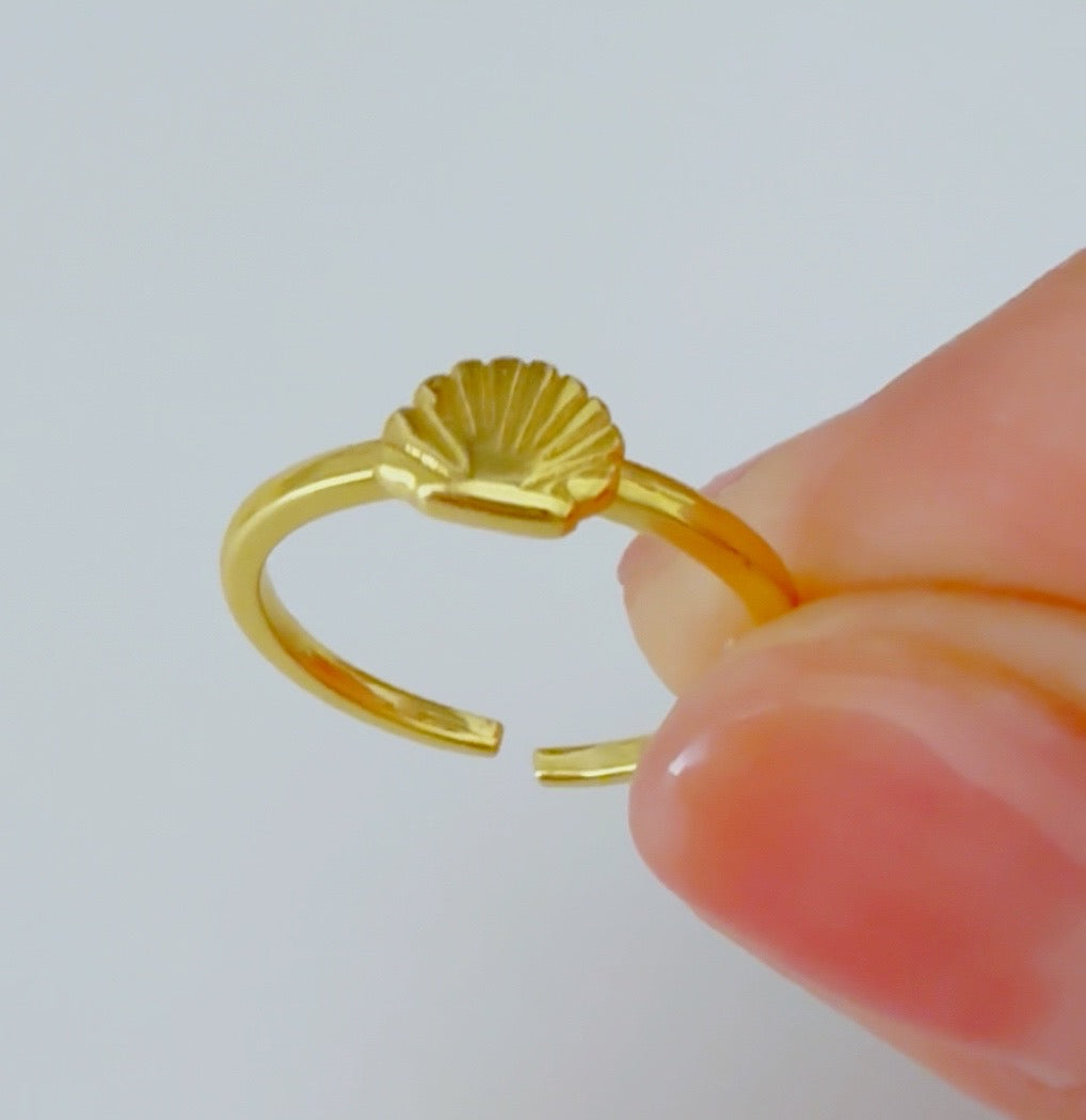 Shell Ring