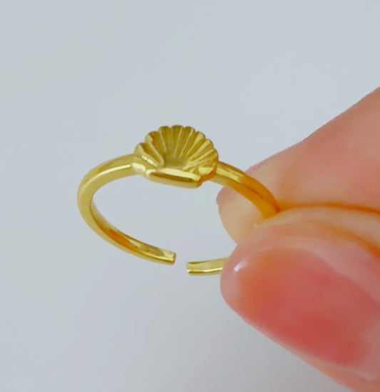 Shell Ring